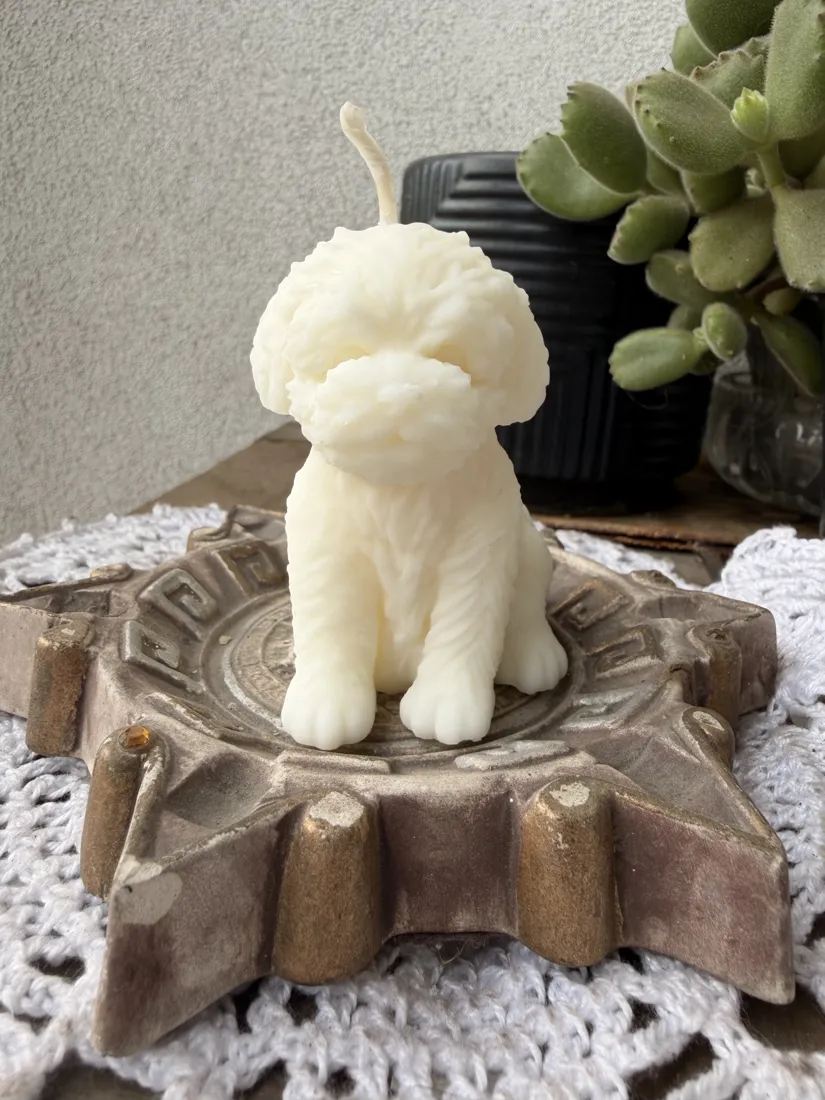 Cachorro, foto 4