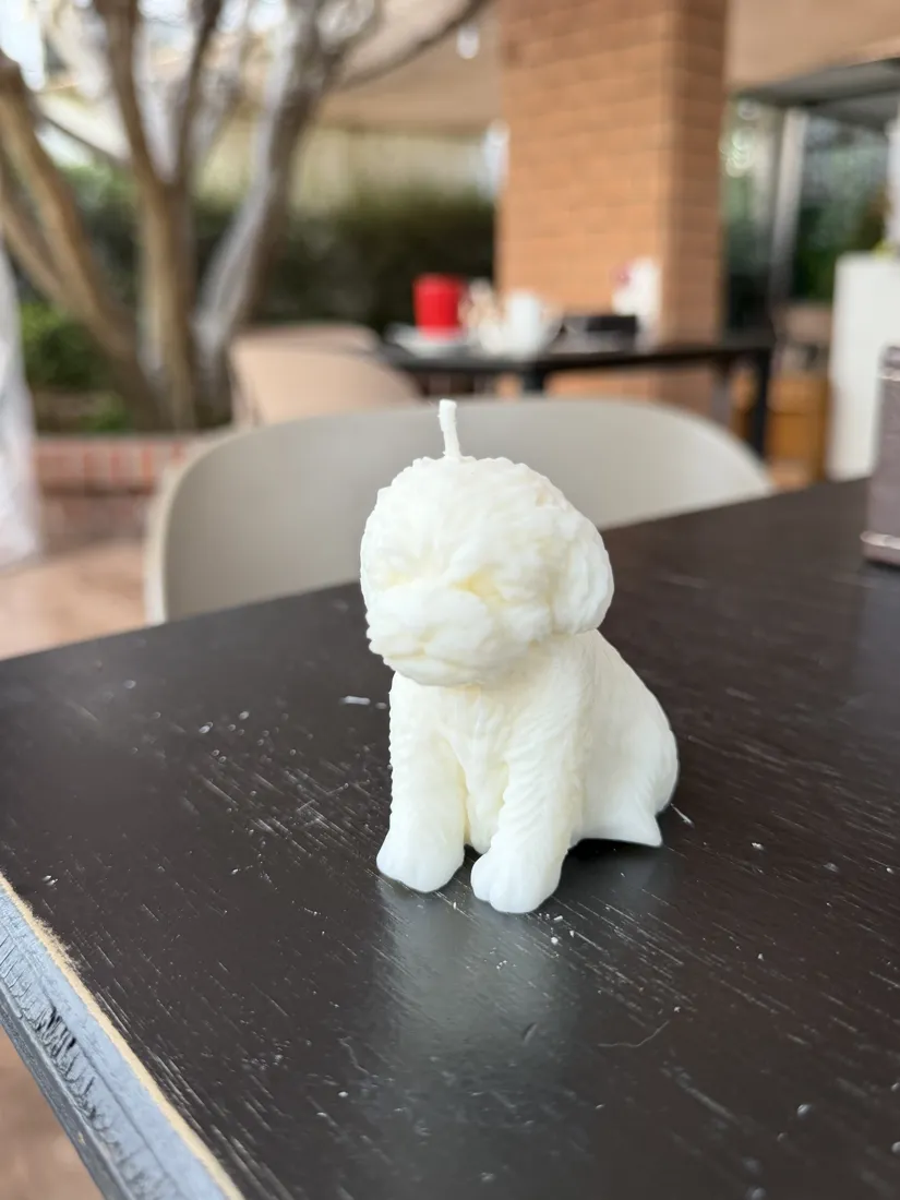 Cachorro, foto 7