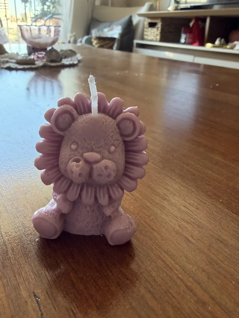 Baby león, foto 3