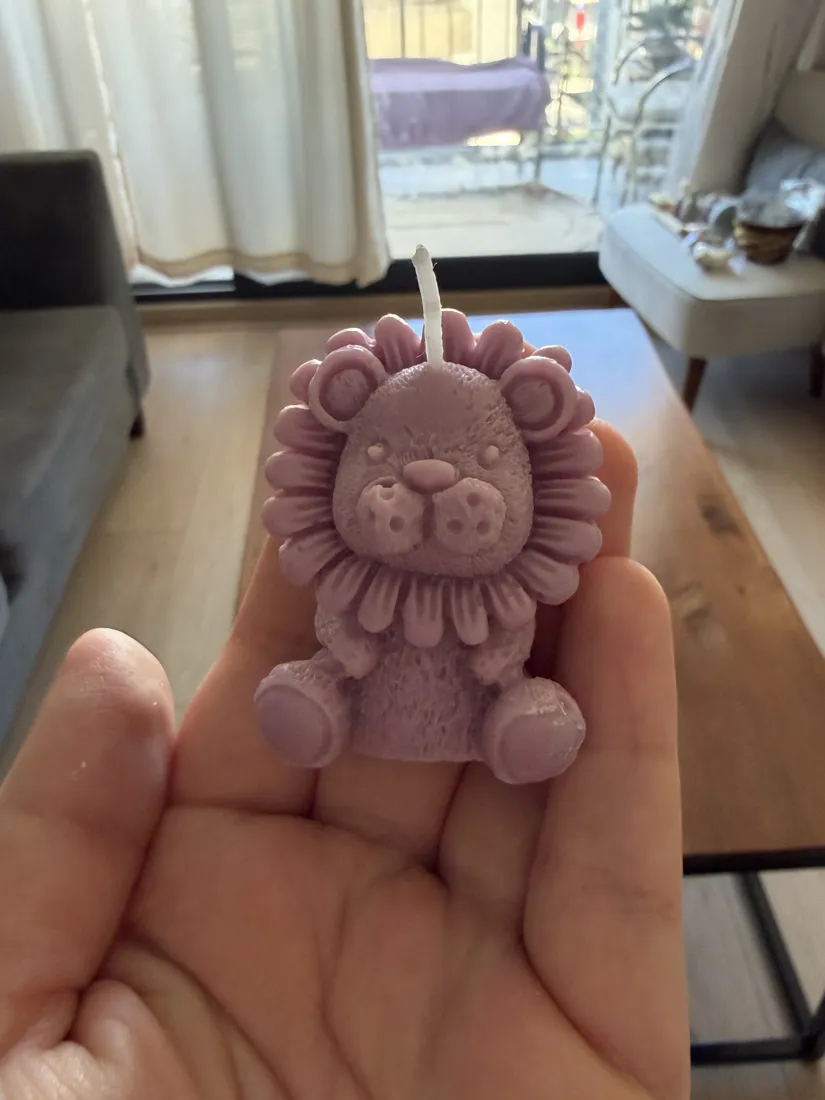 Baby león, foto 4
