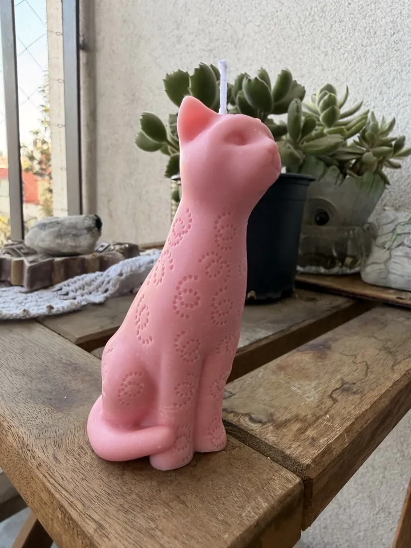 Michi, foto 4