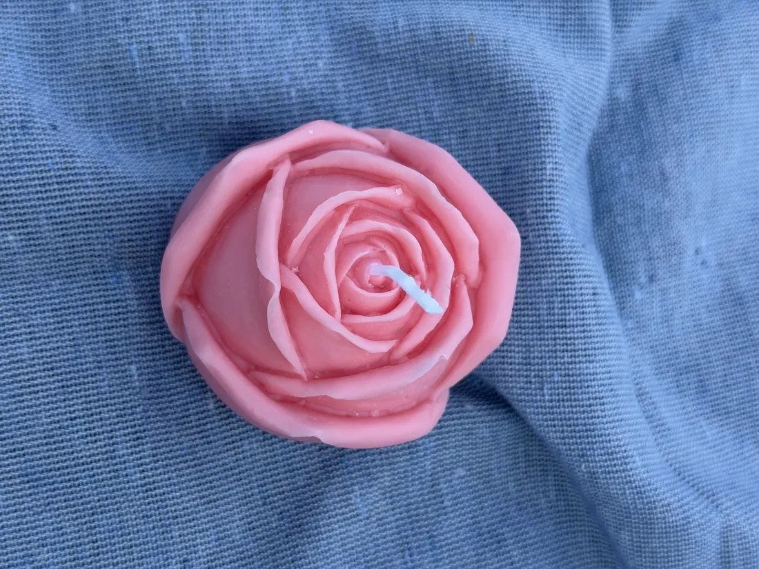 Rosa, foto 4