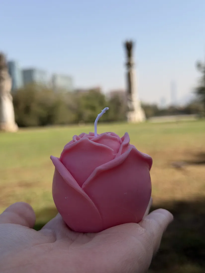 Rosa, foto 5