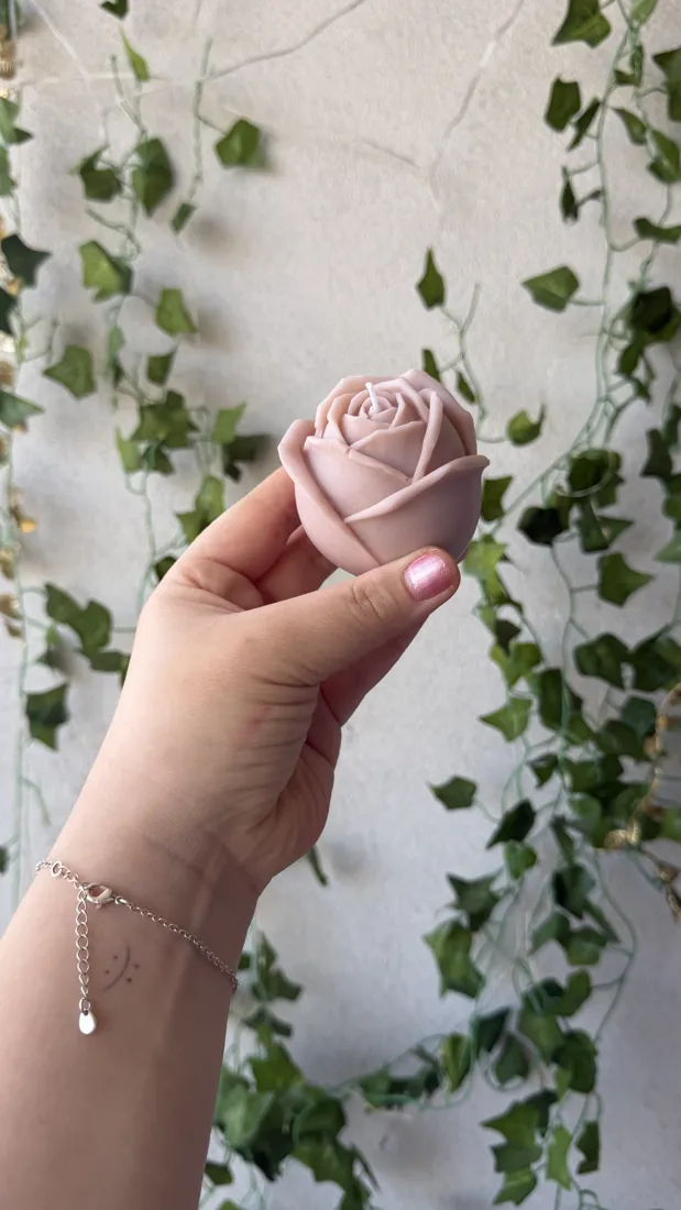 Rosa, foto 6