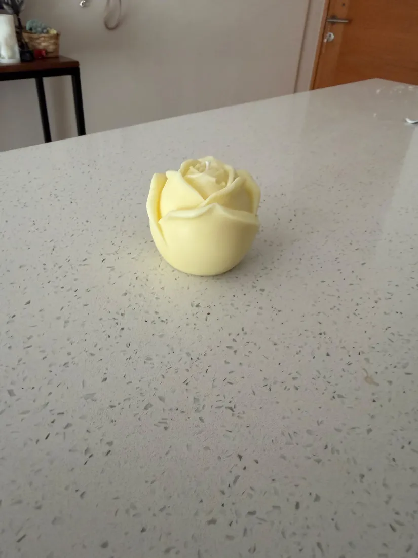 Rosa, foto 8